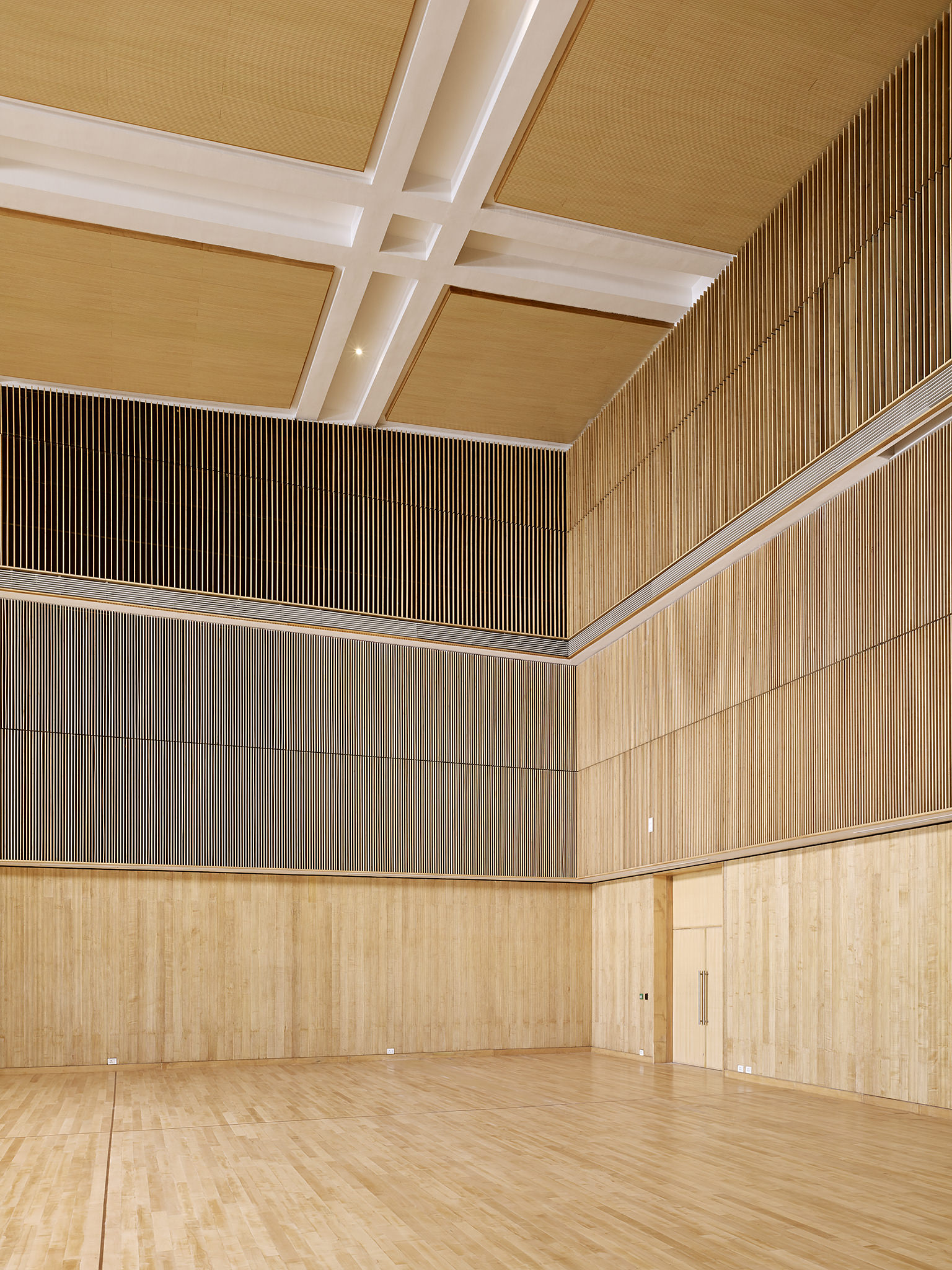 Bihar Museum / Maki and Associates + Opolis